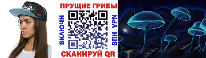 Псилоцибиновые грибы Magic Shrooms blacksprut как зайти Трёхгорный